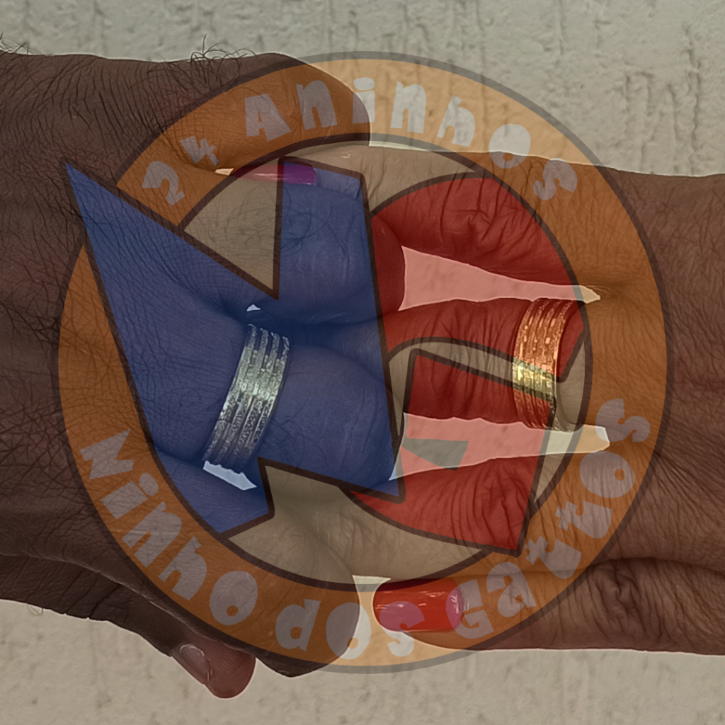 Informes Ninhodosgattos.net .br 24 Anos00 1024x1024